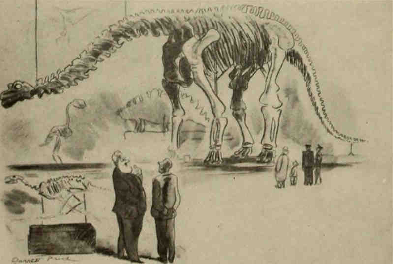 Image:Large herbivorous dinosaur plus people in museum